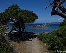 Korsika2016 Bild17