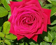 20180603_112028