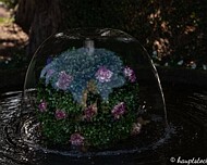 IMGP3574